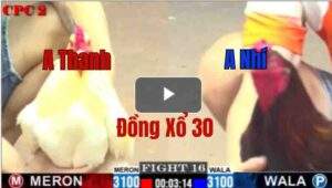 Trận 16 CPC2 4/6/2025