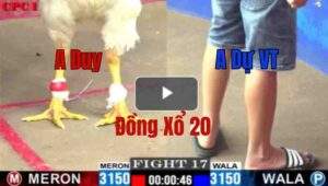 Trận 17 CPC1 10/6/2025