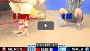 Trận 17 CPC1 28/6/2025