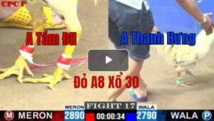 Trận 17 CPC1 7/6/2025