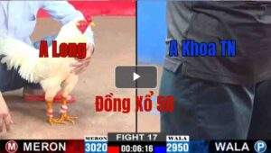 Trận 17 CPC2 6/6/2025