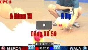 Trận 18 CPC2 8/6/2025