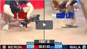 Trận 18 CPC3 29/6/2025