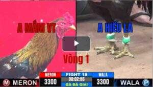 Trận 19 CPC3 11/06/2025