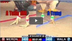 Trận 2 CPC1 26/6/2025