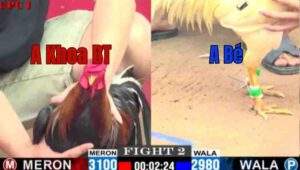 Trận 2 CPC1 28/6/2025