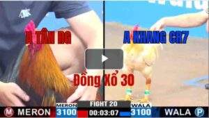 Trận 20 CPC3 5/6/2025