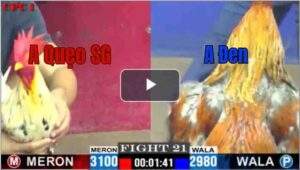 Trận 21 CPC1 26/6/2025