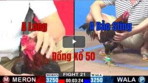 Trận 21 CPC2 6/6/2025