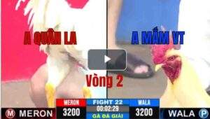 Trận 22 CPC3 11/06/2025