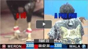 Trận 22 CPC3 22/6/2025