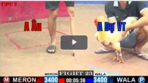 Trận 23 CPC1 24/6/2025