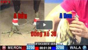 Trận 23 CPC1 7/6/2025