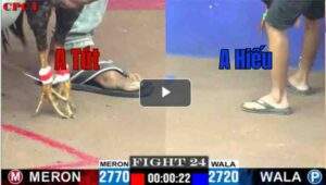 Trận 24 CPC1 30/6/2025