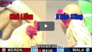 Trận 25 CPC2 25/6/2025