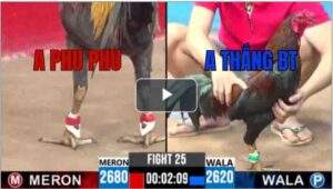 Trận 25 CPC3 22/6/2025