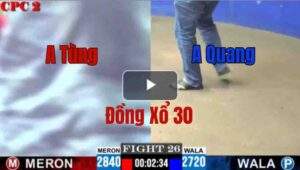 Trận 26 CPC2 8/6/2025