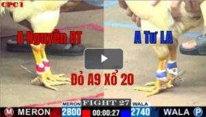 Trận 27 CPC1 10/6/2025