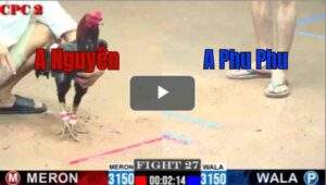 Trận 27 CPC2 29/6/2025