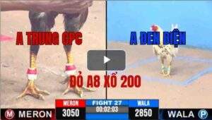 Trận 27 CPC3 11/06/2025