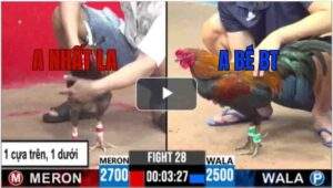 Trận 28 CPC3 22/6/2025