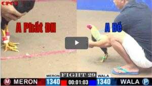 Trận 29 CPC1 30/6/2025