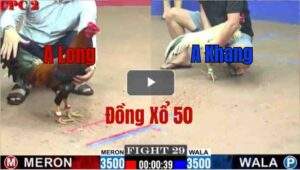 Trận 29 CPC2 6/6/2025