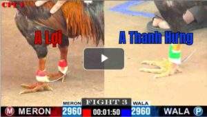 Trận 3 CPC1 26/6/2025