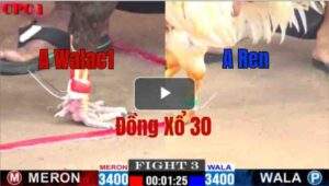 Trận 3 CPC1 5/6/2025