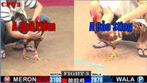 Trận 3 CPC2 25/6/2025