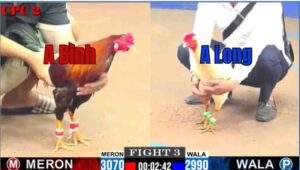 Trận 3 CPC2 27/6/2025