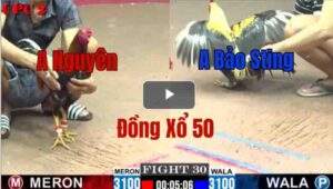 Trận 30 CPC2 6/6/2025