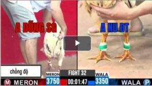 Trận 32 CPC3 28/6/2025