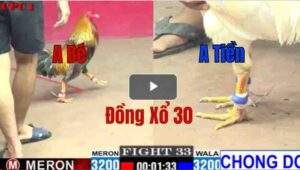 Trận 33 CPC1 3/6/2025