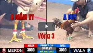 Trận 34 CPC3 11/06/2025