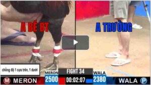 Trận 34 CPC3 22/6/2025