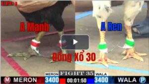 Trận 35 CPC1 7/6/2025