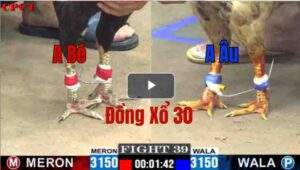 Trận 39 CPC1 3/6/2025