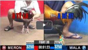 Trận 39 CPC3 22/6/2025