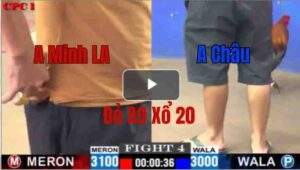 Trận 4 CPC1 10/6/2025
