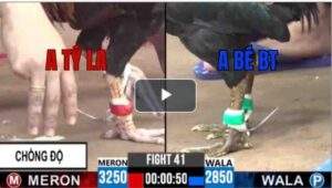 Trận 41 CPC3 22/6/2025