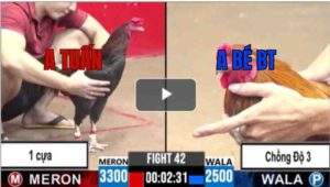 Trận 42 CPC3 22/6/2025