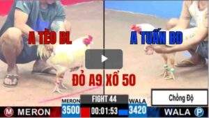 Trận 44 CPC3 11/06/2025