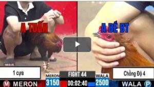 Trận 44 CPC3 22/6/2025