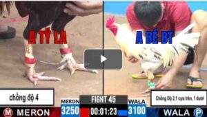 Trận 45 CPC3 22/6/2025