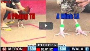 Trận 5 CPC1 30/6/2025