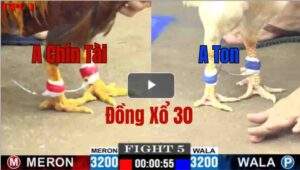 Trận 5 CPC1 3/6/2025