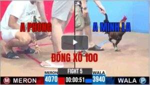 Trận 5 CPC3 11/06/2025