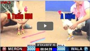 Trận 6 CPC1 24/6/2025