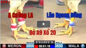 Trận 6 CPC1 3/6/2025